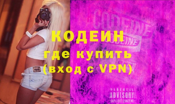 индика Абаза