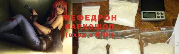 индика Абаза