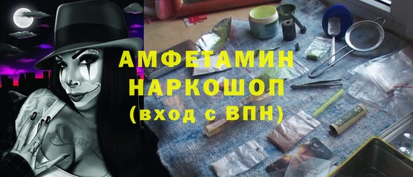 индика Абаза