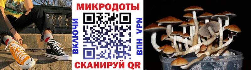 Галлюциногенные грибы Magic Shrooms  Новоалександровск 