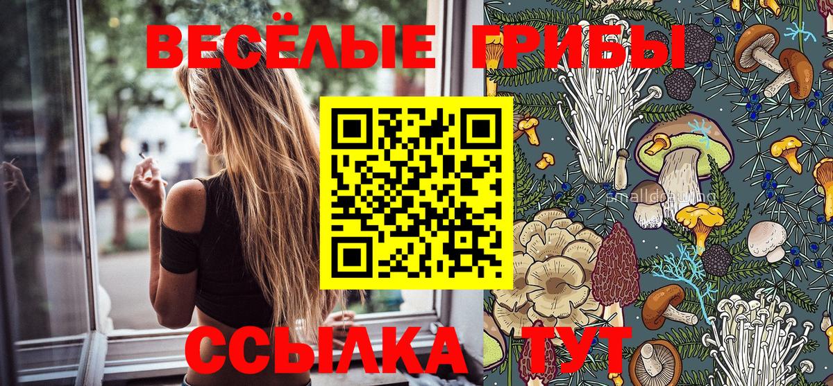 Псилоцибиновые грибы Magic Shrooms  Вход с VPN  магазин  наркотиков  Новоалександровск  Псилоцибиновые грибы Psilocybe 