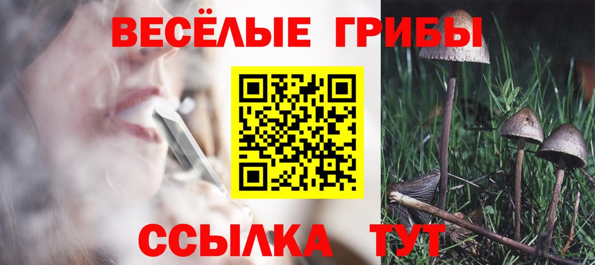 Галлюциногенные грибы мицелий Новоалександровск